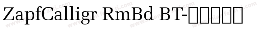 ZapfCalligr RmBd BT字体转换